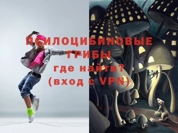 прущая мука Алзамай