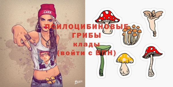 гашик Алексеевка