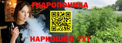 крисы Краснокаменск