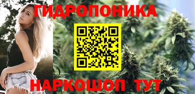 крисы Краснокаменск