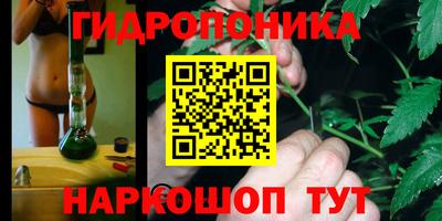 крисы Краснокаменск