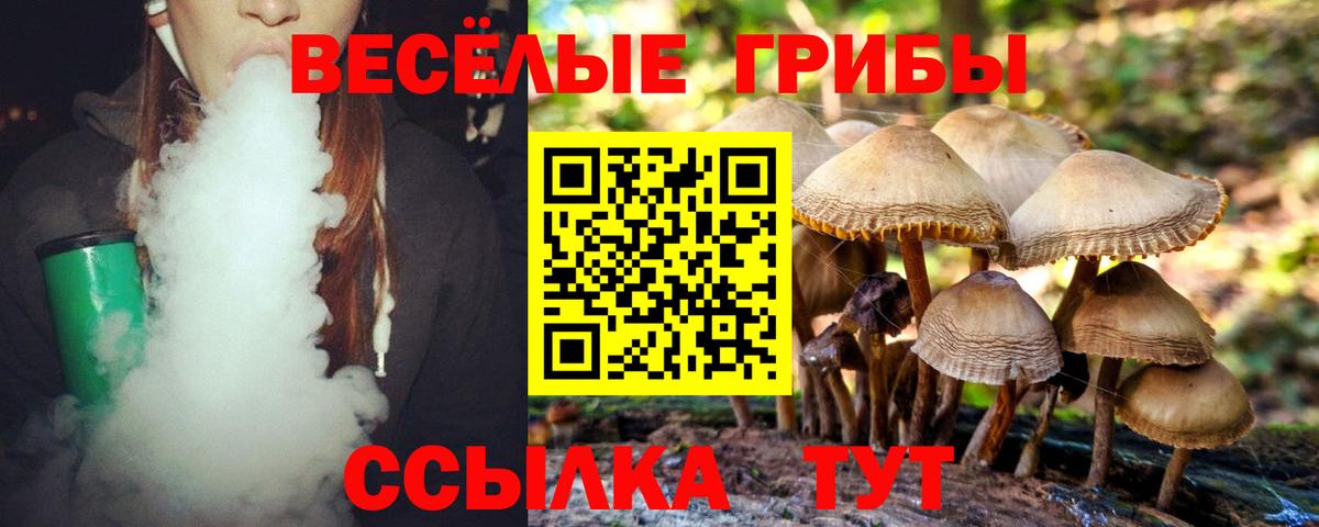 Псилоцибиновые грибы прущие грибы Златоуст
